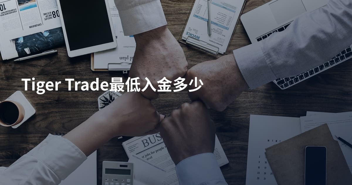 Tiger Trade最低入金多少