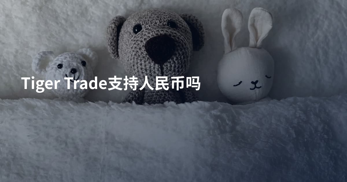 Tiger Trade支持人民币吗