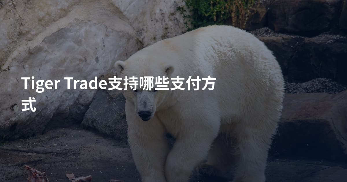Tiger Trade支持哪些支付方式