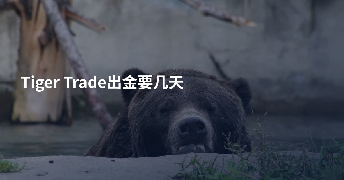 Tiger Trade出金要几天