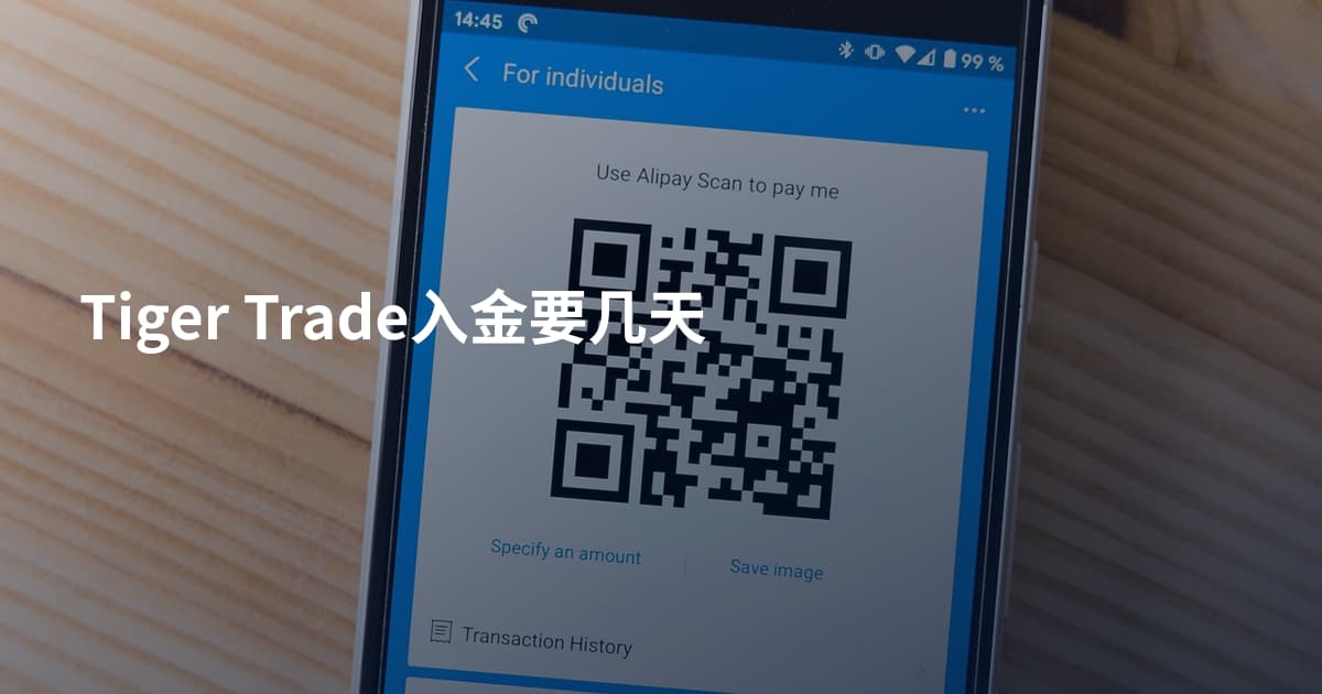 Tiger Trade入金要几天