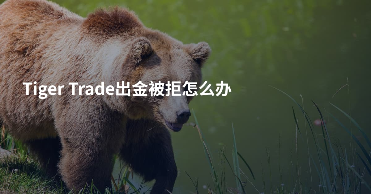 Tiger Trade出金被拒怎么办