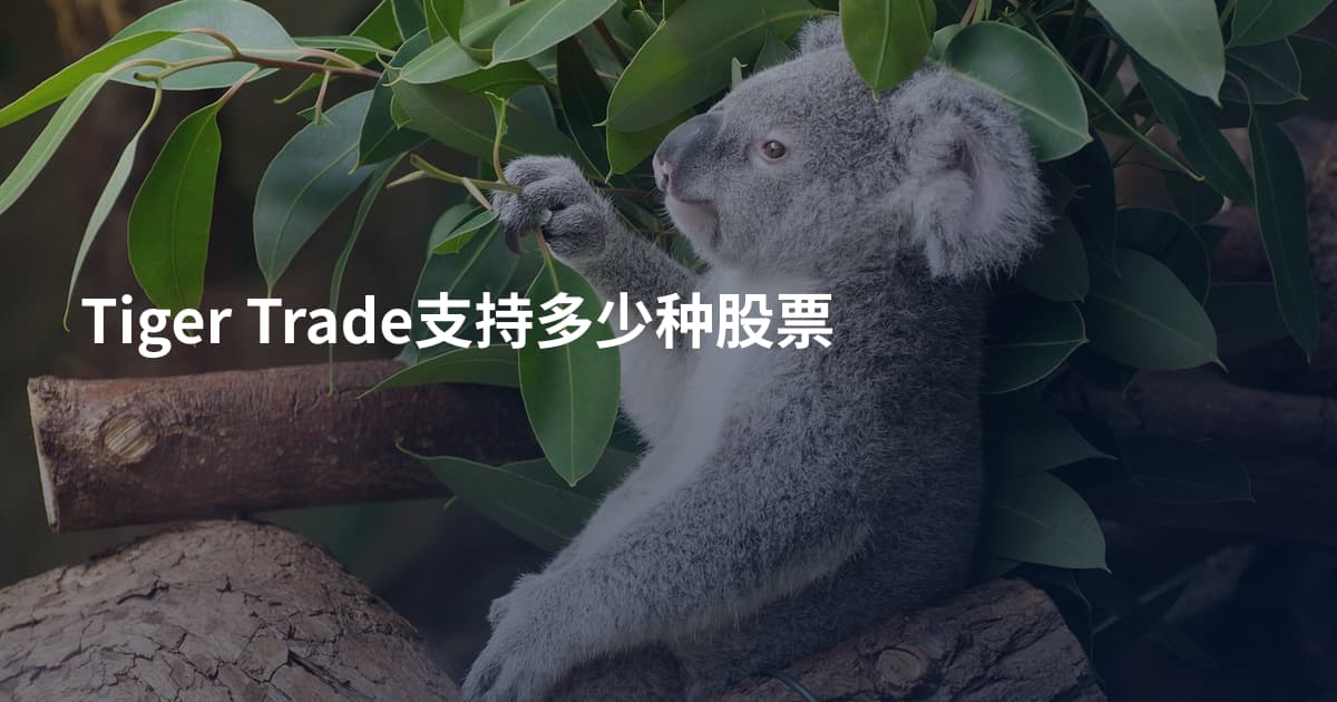 Tiger Trade支持多少种股票