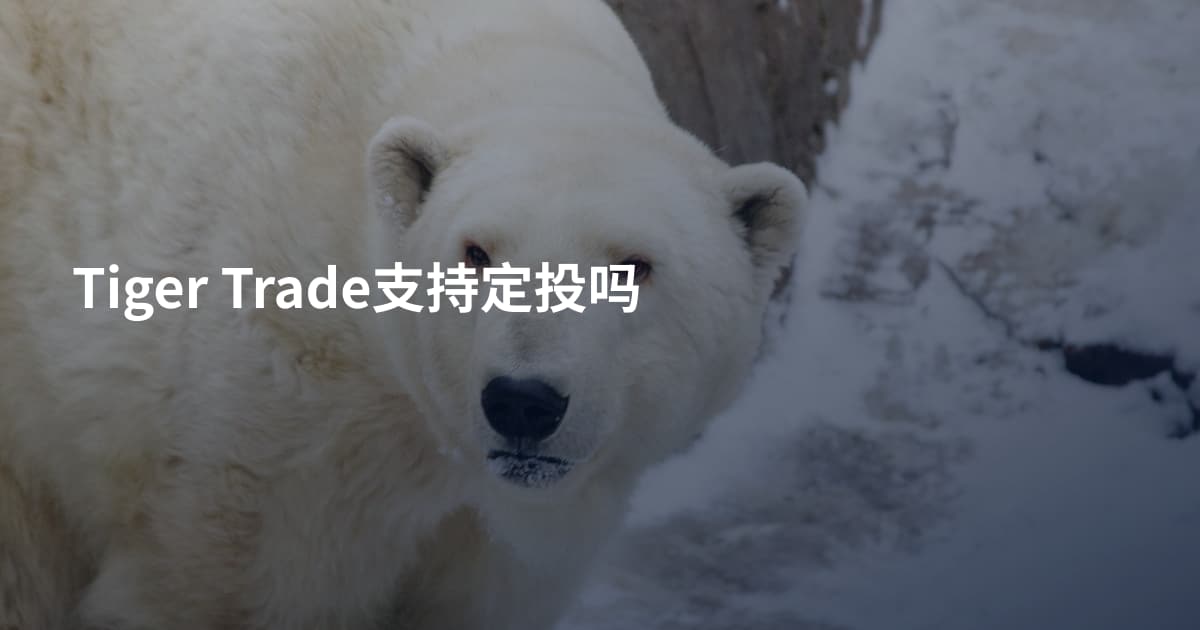 Tiger Trade支持定投吗
