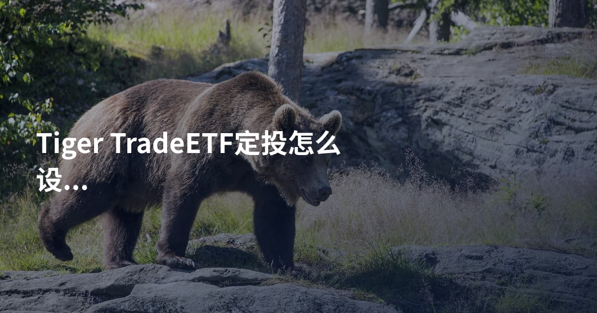 Tiger TradeETF定投怎么设置
