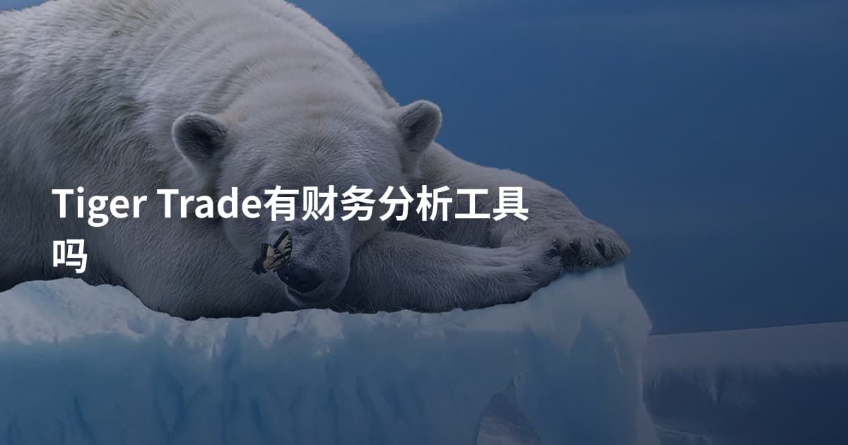 Tiger Trade有财务分析工具吗