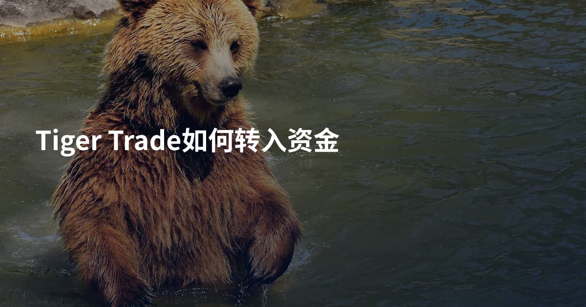 Tiger Trade如何转入资金
