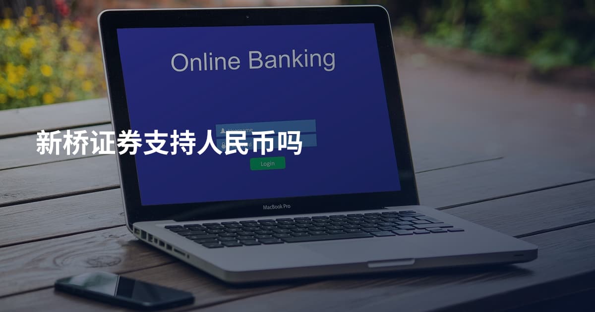 新桥证券支持人民币吗