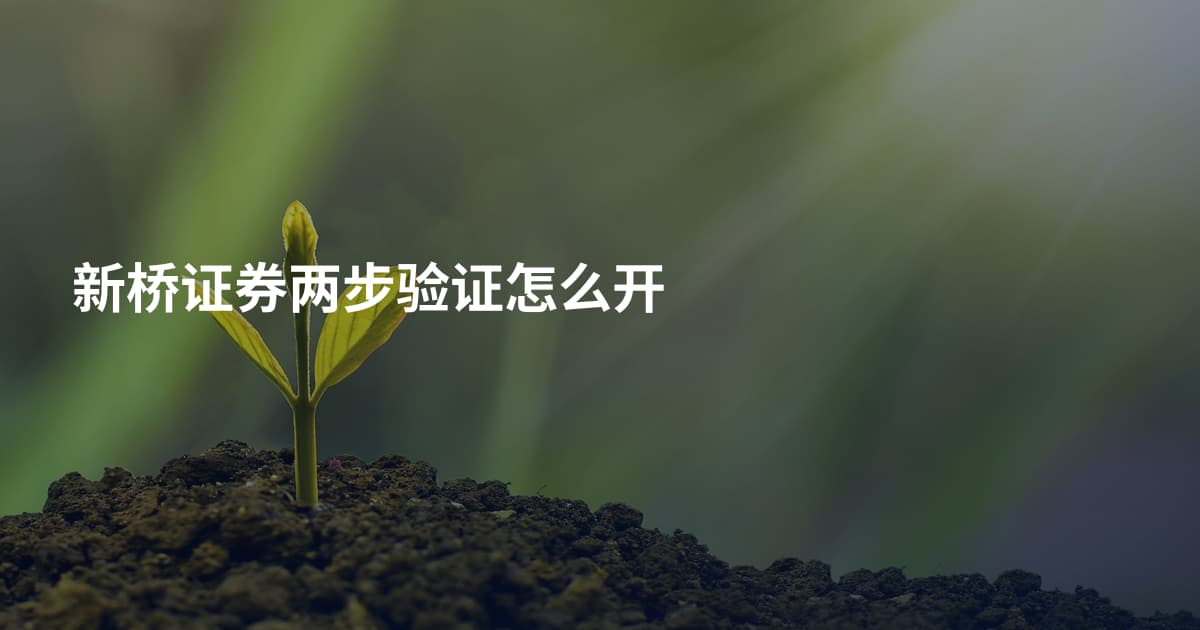 新桥证券两步验证怎么开