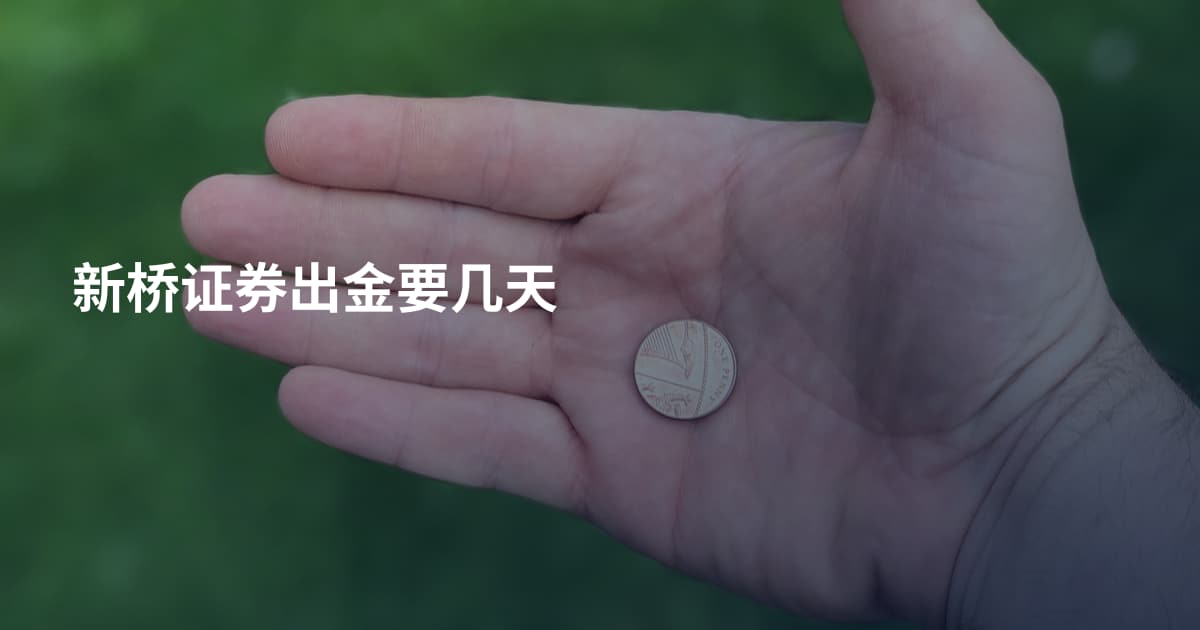 新桥证券出金要几天
