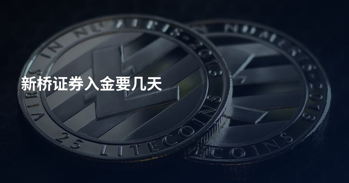 新桥证券入金要几天