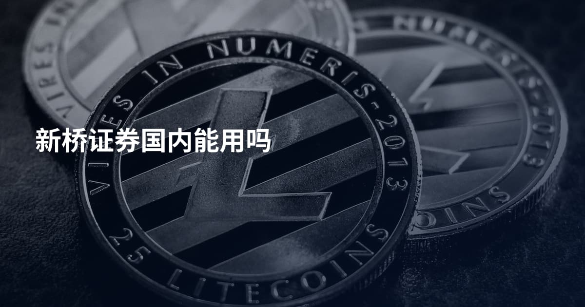 新桥证券国内能用吗