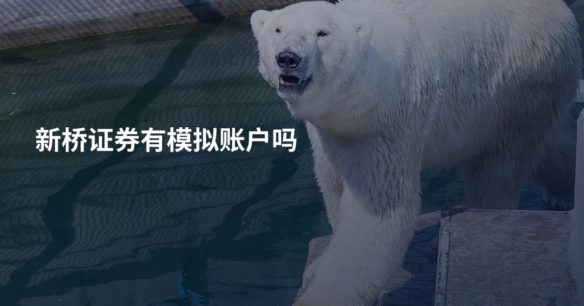 新桥证券有模拟账户吗