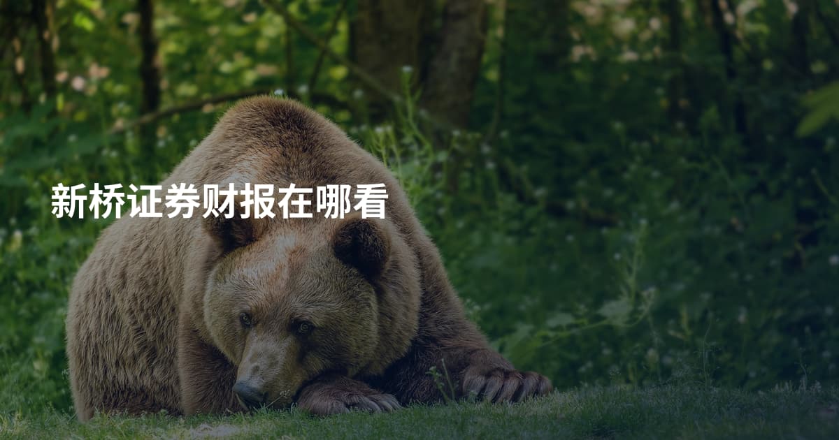 新桥证券财报在哪看