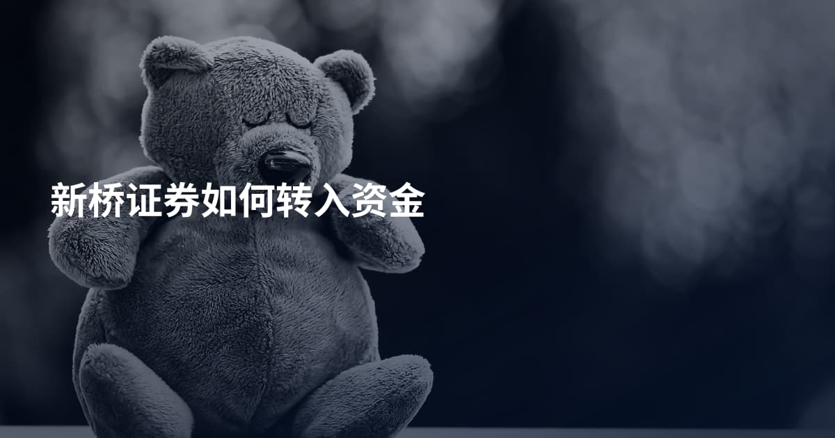 新桥证券如何转入资金