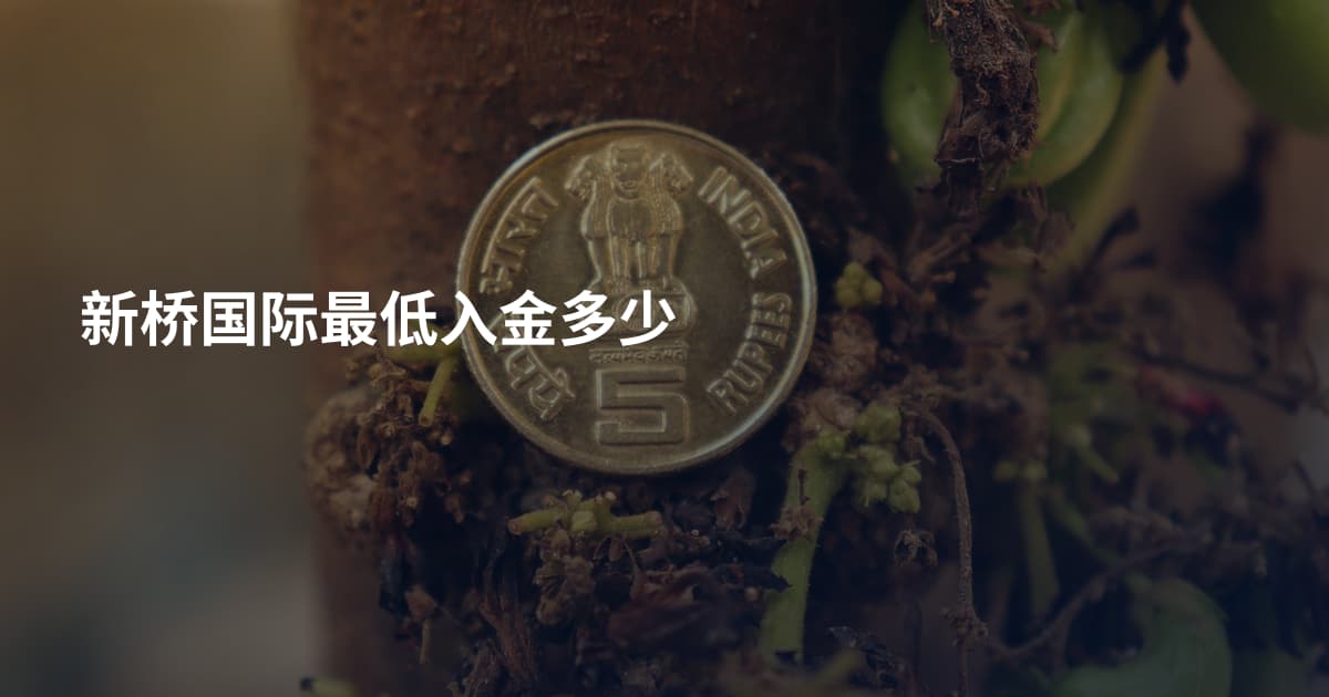 新桥国际最低入金多少