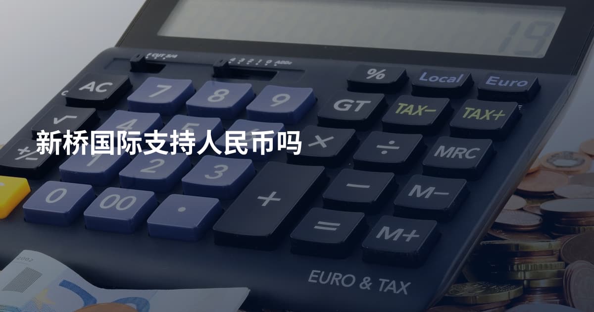 新桥国际支持人民币吗