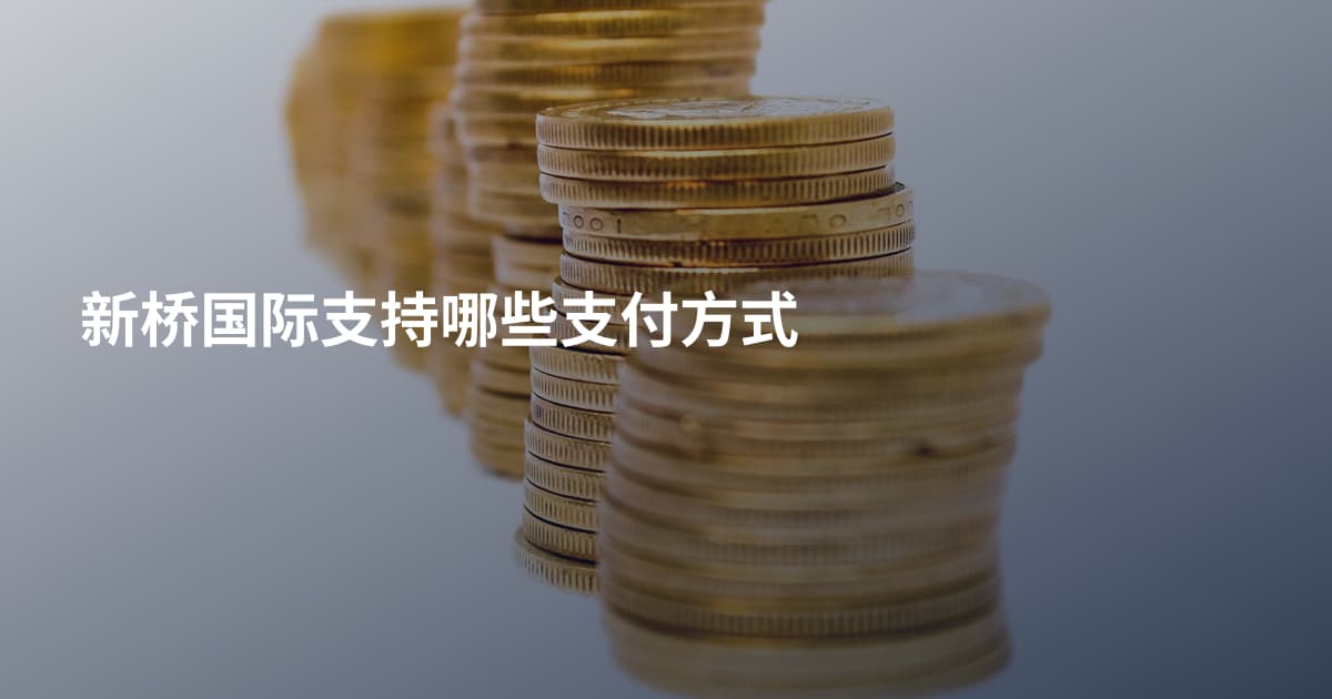 新桥国际支持哪些支付方式
