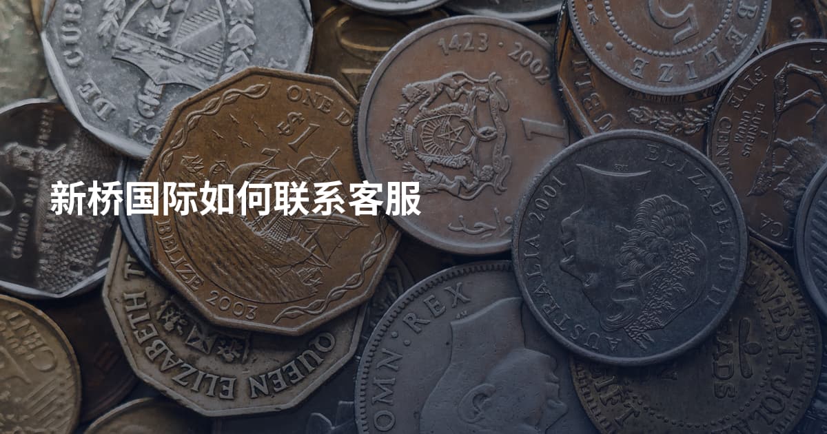 新桥国际如何联系客服