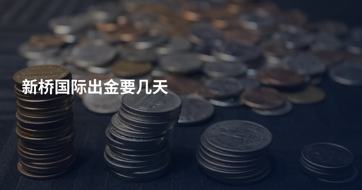 新桥国际出金要几天