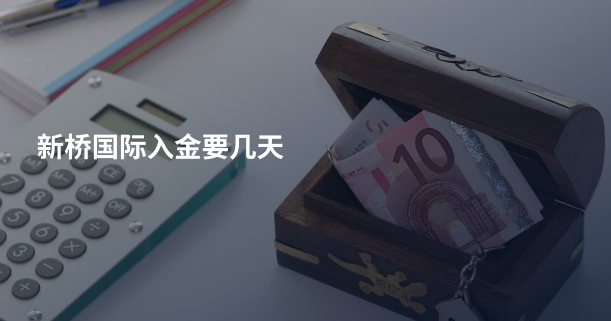 新桥国际入金要几天