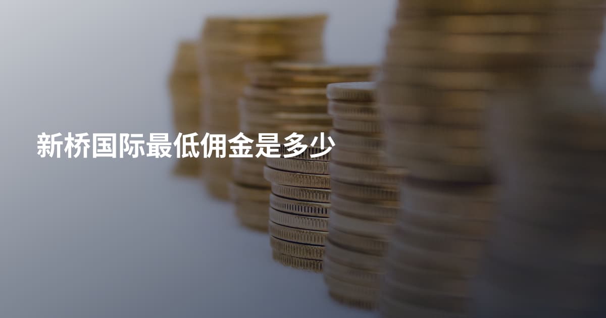 新桥国际最低佣金是多少