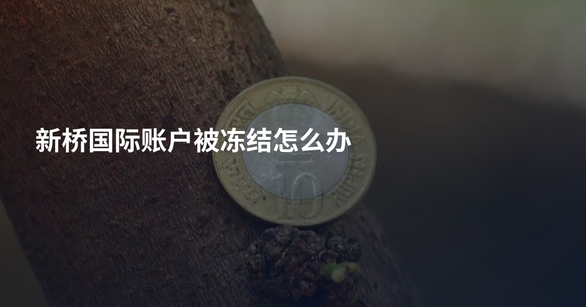 新桥国际账户被冻结怎么办