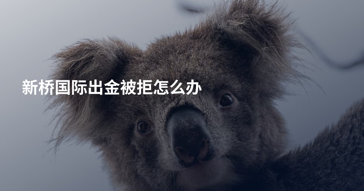 新桥国际出金被拒怎么办