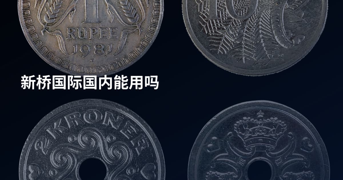 新桥国际国内能用吗