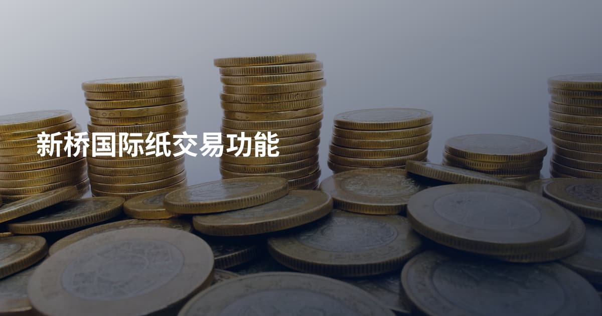 新桥国际纸交易功能