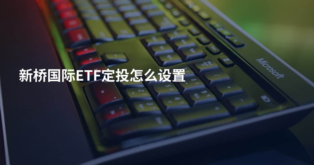 新桥国际ETF定投怎么设置