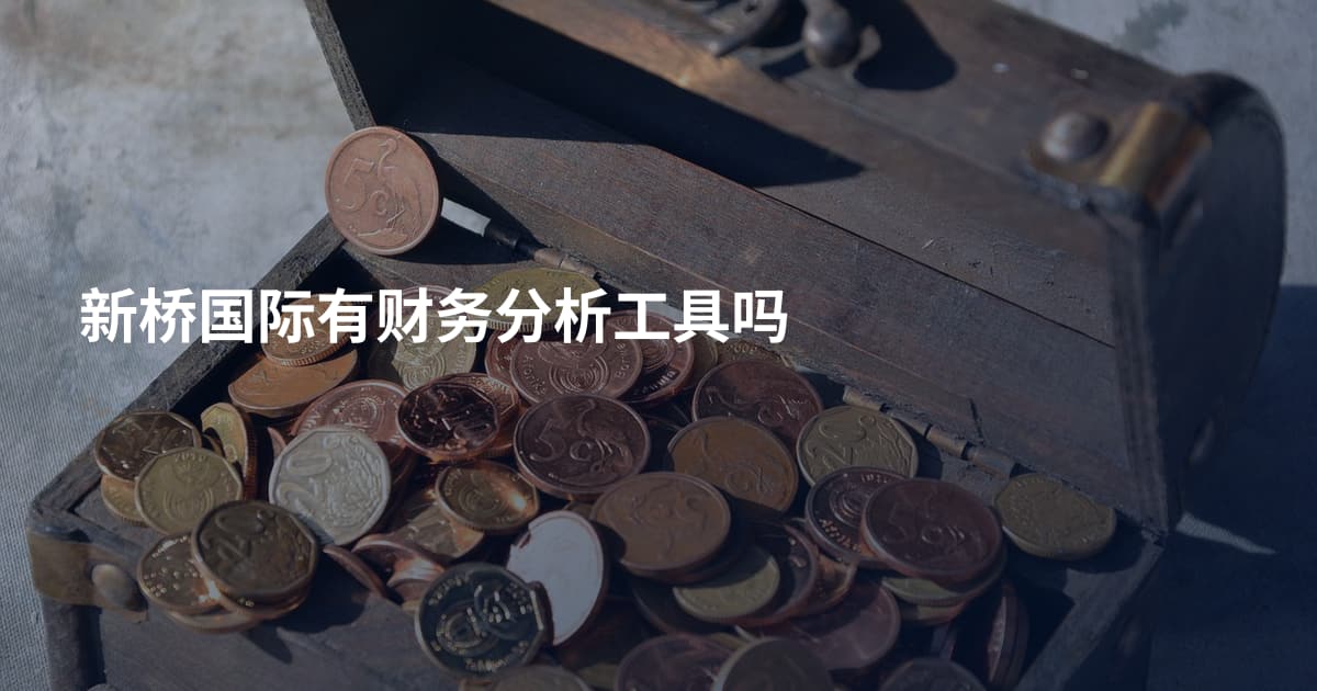 新桥国际有财务分析工具吗