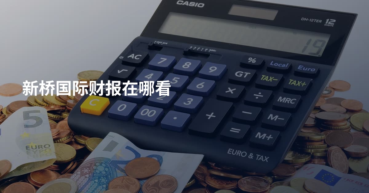 新桥国际财报在哪看