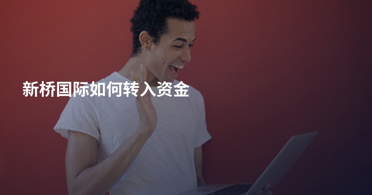 新桥国际如何转入资金
