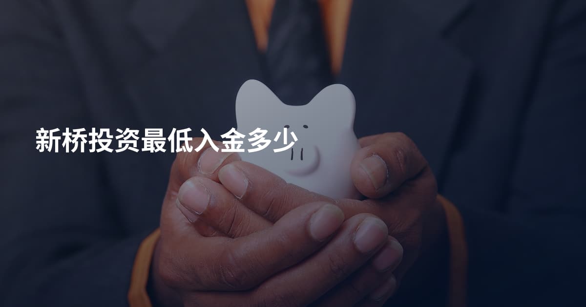 新桥投资最低入金多少
