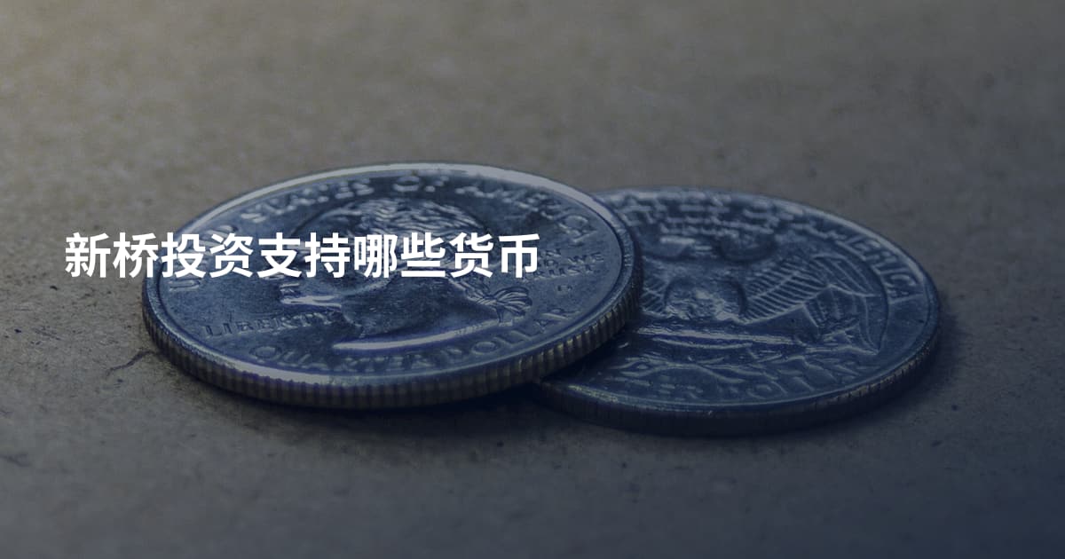 新桥投资支持哪些货币