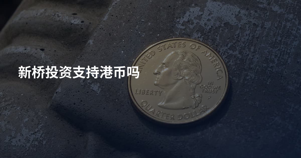 新桥投资支持港币吗
