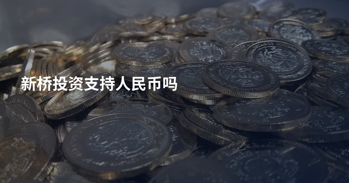 新桥投资支持人民币吗