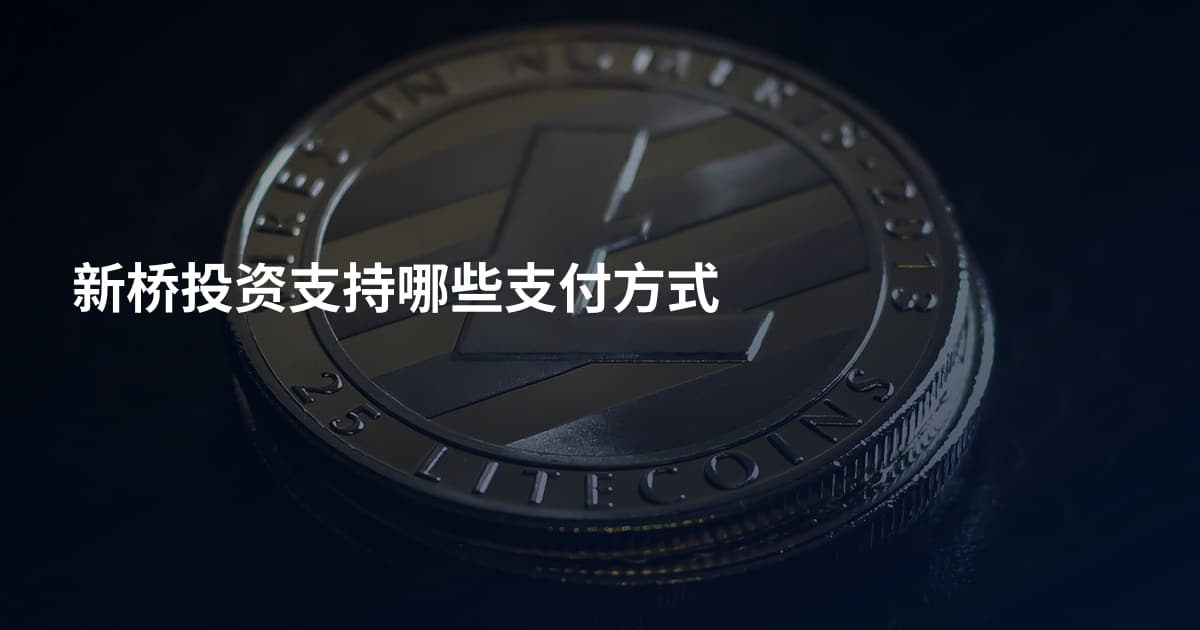 新桥投资支持哪些支付方式