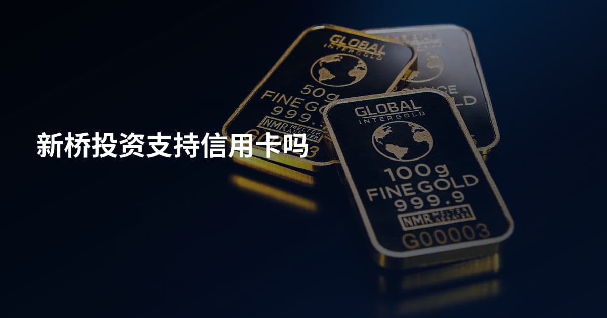 新桥投资支持信用卡吗