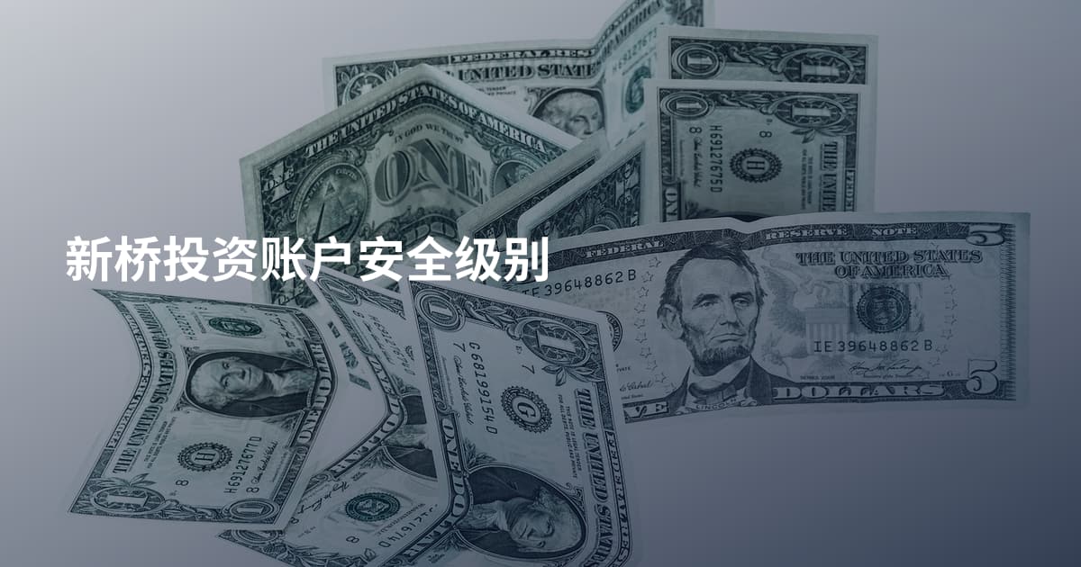 新桥投资账户安全级别