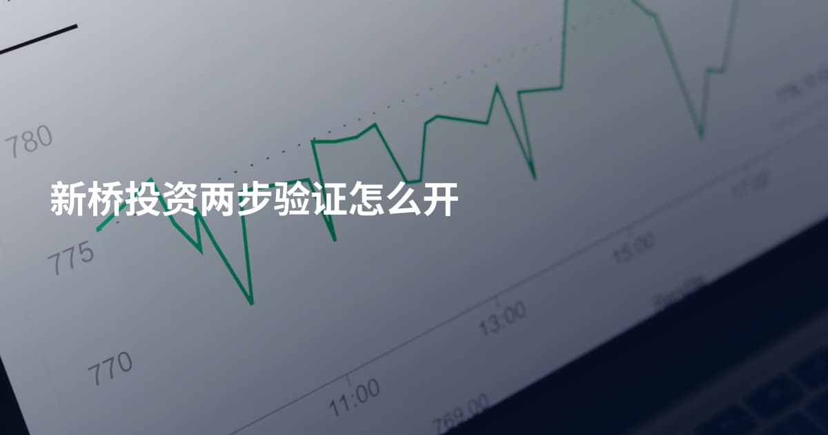 新桥投资两步验证怎么开