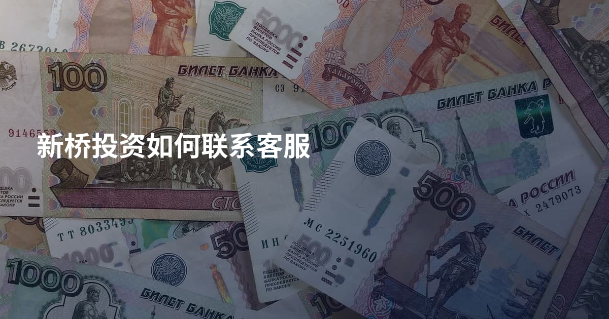 新桥投资如何联系客服