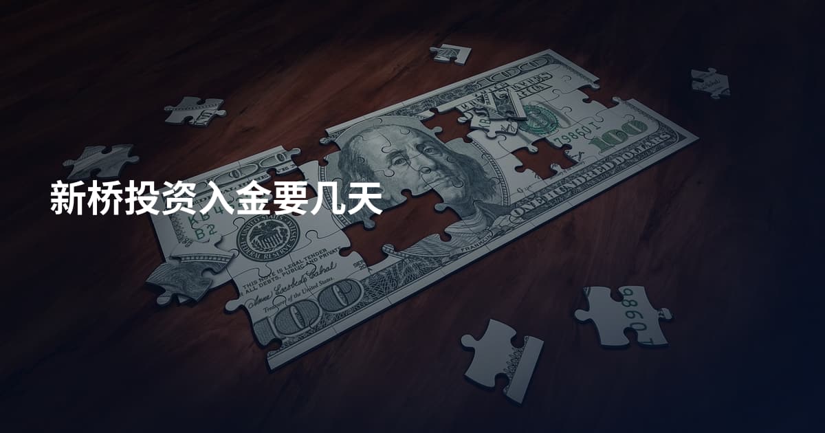 新桥投资入金要几天