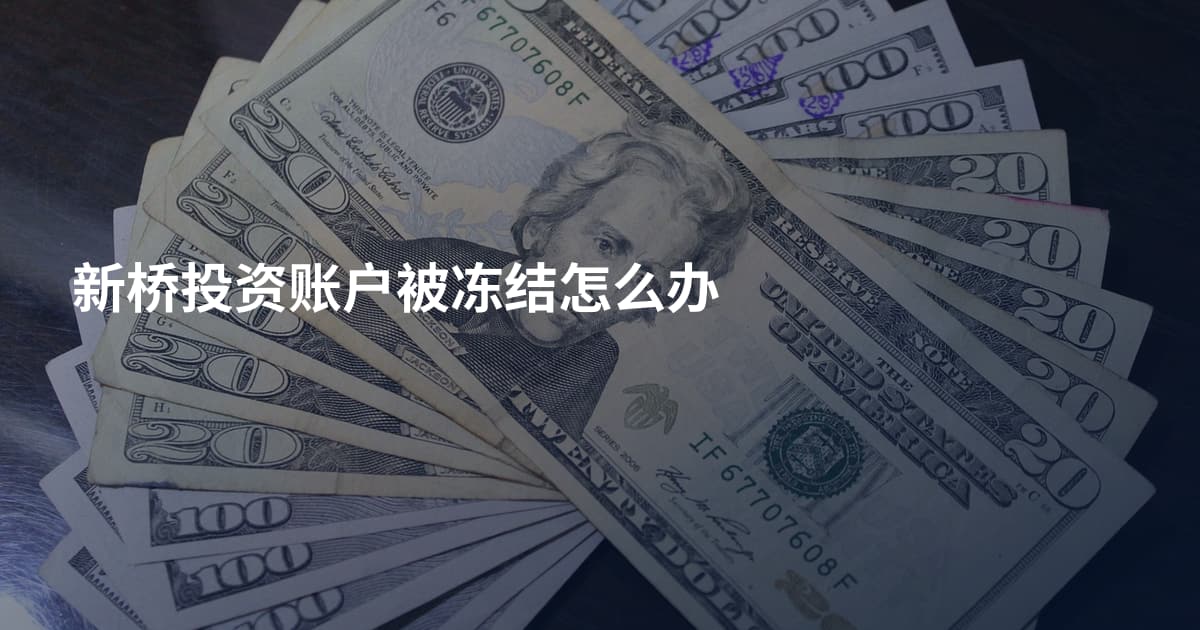 新桥投资账户被冻结怎么办