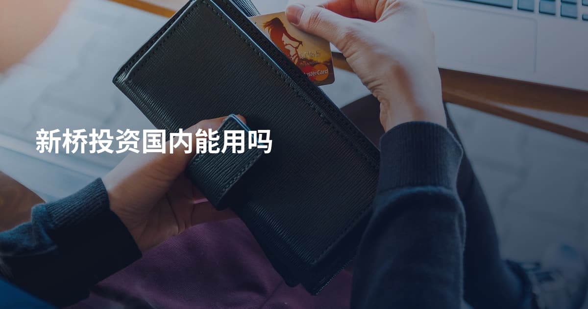 新桥投资国内能用吗