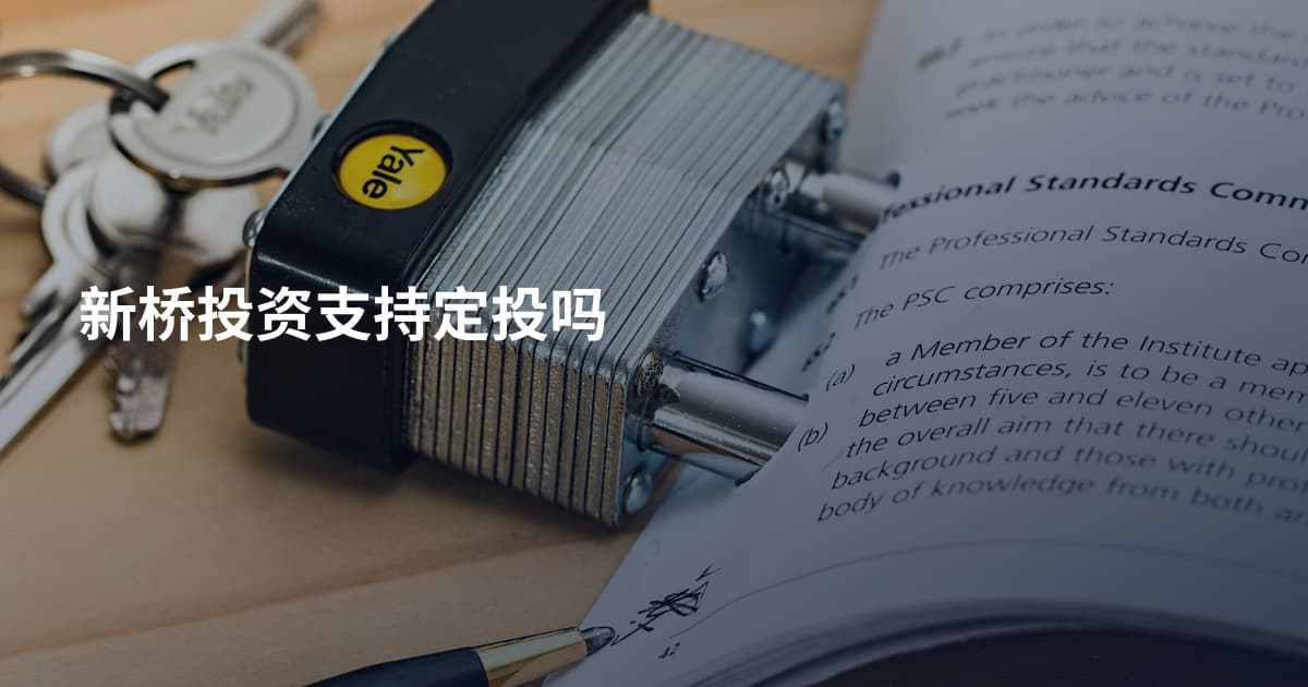 新桥投资支持定投吗