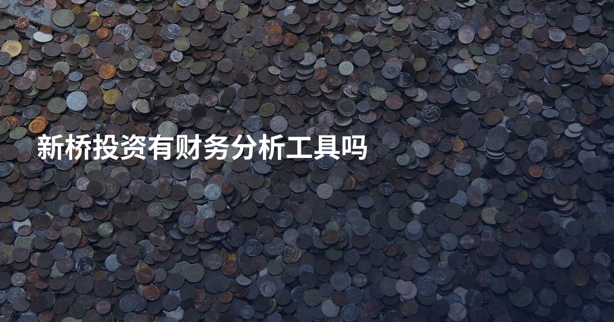 新桥投资有财务分析工具吗
