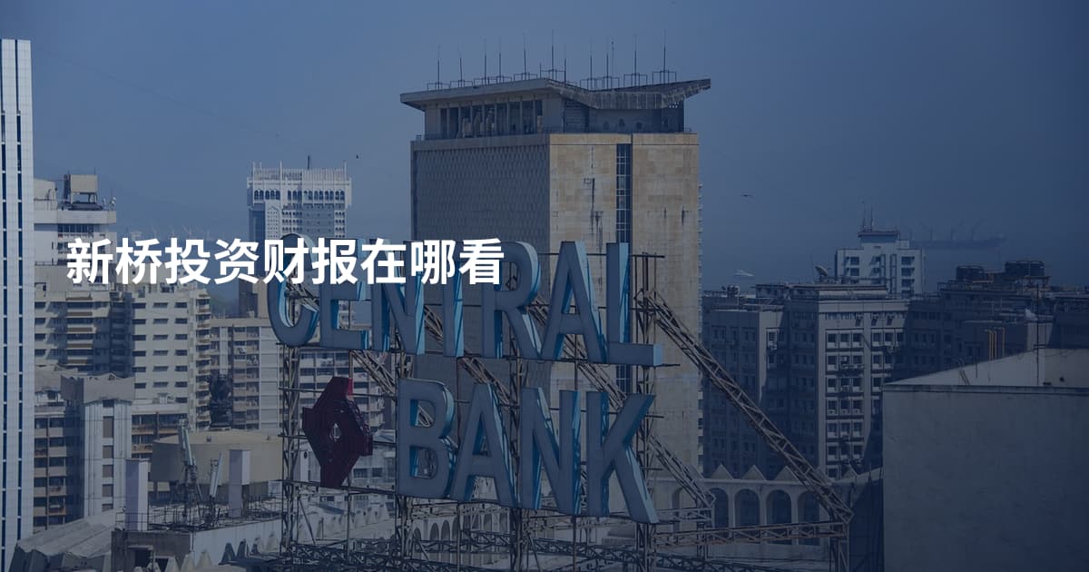 新桥投资财报在哪看