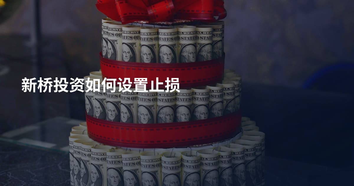新桥投资如何设置止损